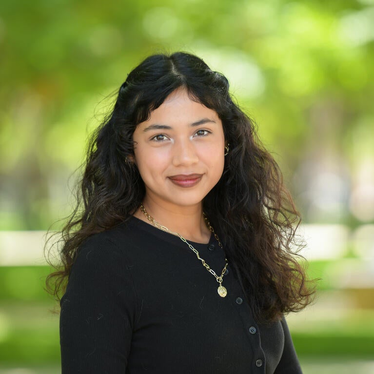 Marisol Ibarra Zea