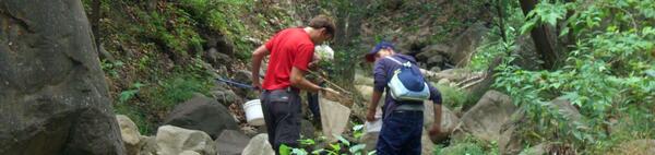 Students stream sampling (c) UCR