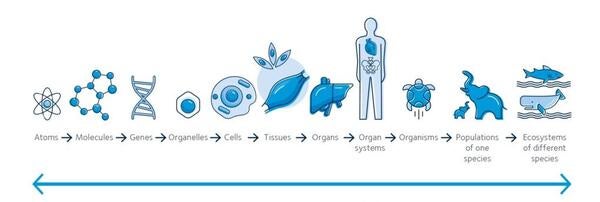 Physiology is the science of life physsoc.org
