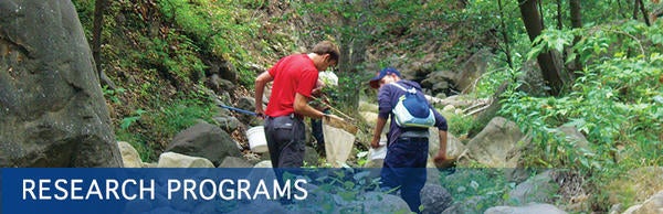 Students sampling stream water (c) UCR