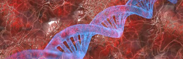 DNA Strand (c) pixabay