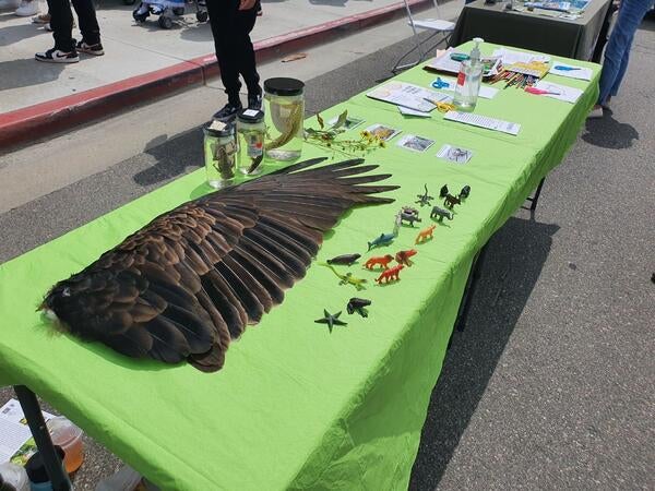 outreach 2022