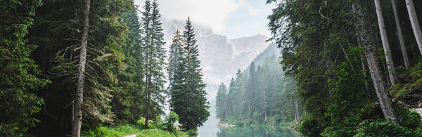 forest, mountains, river (c) Luca Bravo unsplash