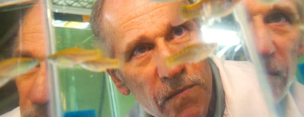 Dr. David Reznick